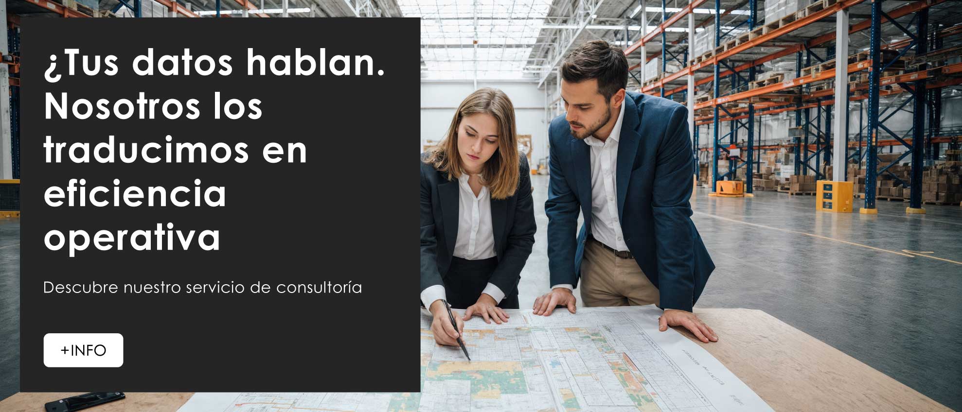CONSULTORÍA