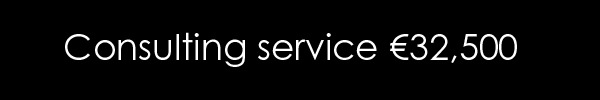 consulting service Moinsa