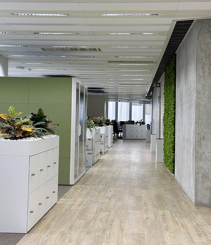 Diseño biofílico en oficinas. Interiorismo en oficinas. Diseño de interiores para oficinas
